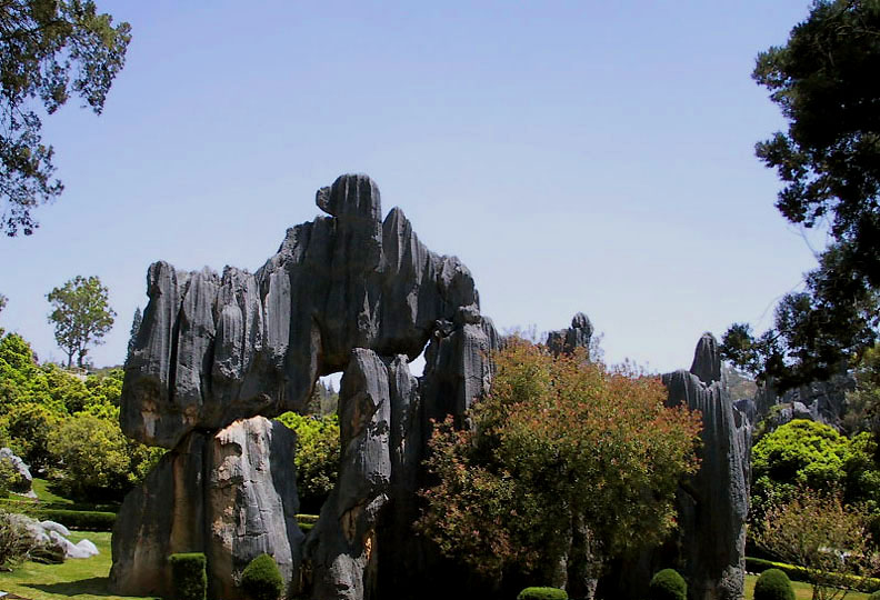 Natural sculture