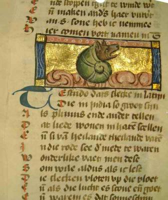 Medieval manuscript on Fable  animals