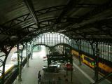 DSCF4231.JPG