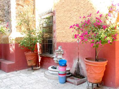 courtyard of templo de san francisco