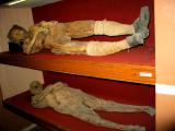 museo de las momias