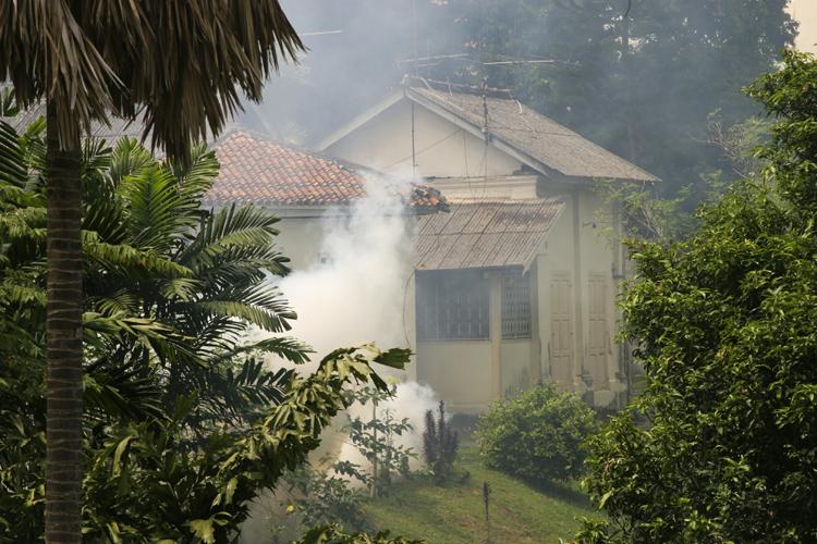 Sept 25 - fogging