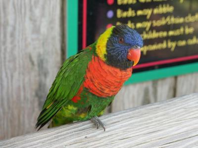 ZOO-27a.JPG