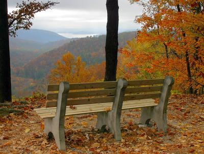 Mountain Scene