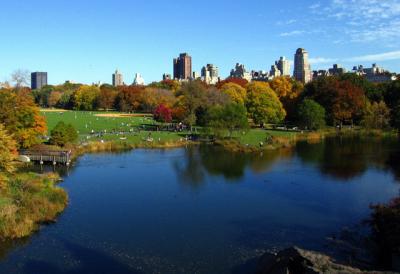 Fall 2004