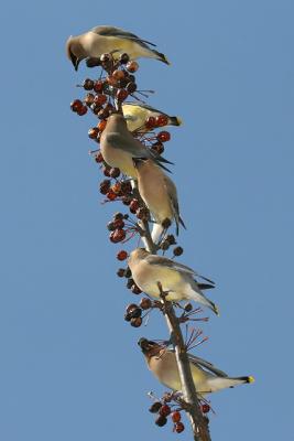 IMG_3258.jpg
