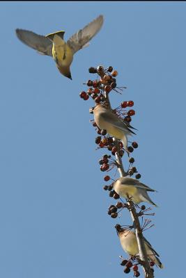 IMG_3261.jpg