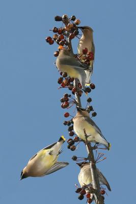 IMG_3265.jpg