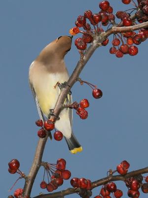 IMG_3311.jpg