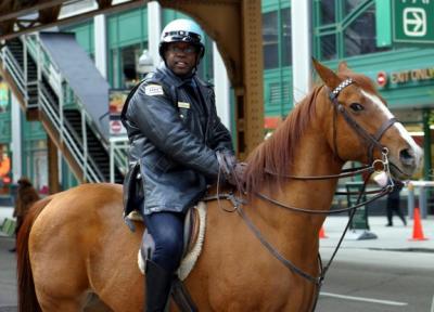 Chicago Mounted Police (on a horse)