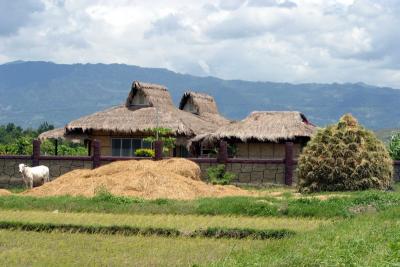 home of rice farmer