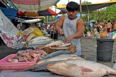 Bagabag Carp Vendor.jpg