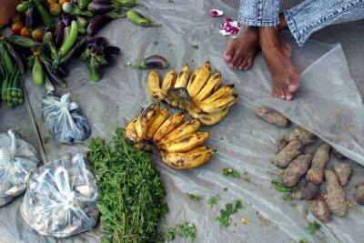 This vendor at the Bagabag market snacked on a salted duck egg -- the remnants of the purple shell are beside her feet. In the photo are bitter melon leaves, eggplant (two varieties), bananas, fish (in bags), purple yam, taro root, okra, and tomatoes