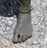 rice paddy  foot