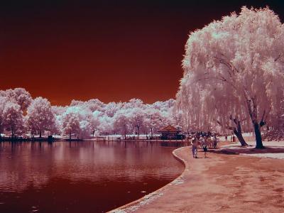 Infrared    03087_