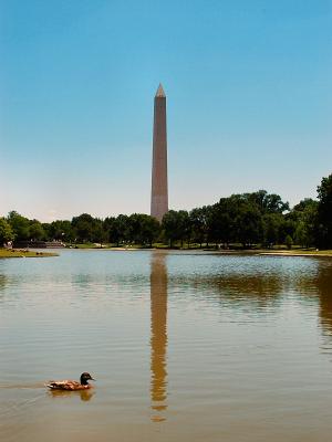 Washington Memorial   8762