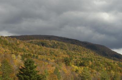 Active Weather