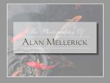 The Photography Of Alan Mellerick