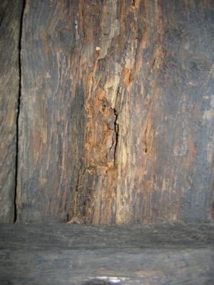 Closeup of the ribs' wood