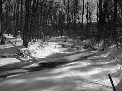 Creek 3a BW.jpg