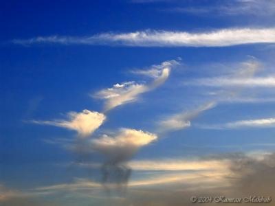 DSCN1788 b s.jpg