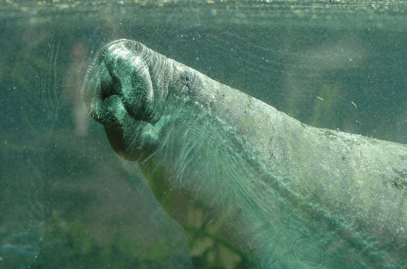 DSC_1011.JPG