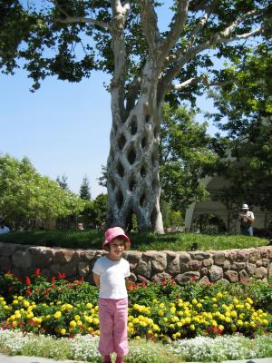 Circus tree and Me at Bonfante