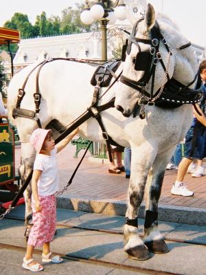 Nice Big Horsie (Kodak disposable)