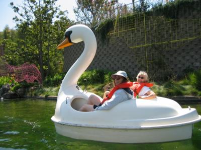 Swan ride at Bonfante Gardens