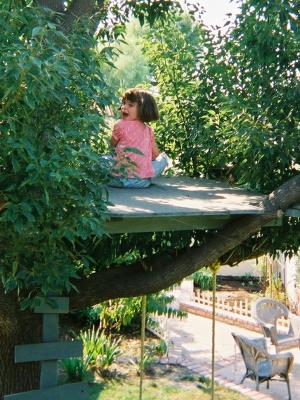 Up high (Kodak disposable)