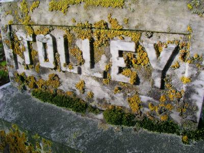 u35/kstuebin/medium/22837142.tolley.jpg