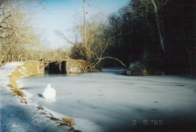 Remains of snowman on Canal