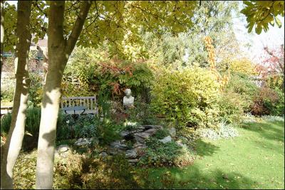 DSCF1156.jpg