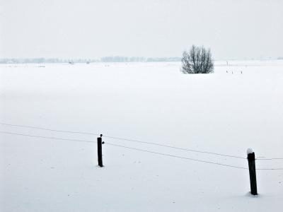 Snowy Landscape