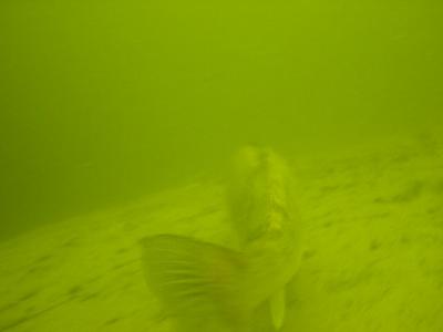 DSC03340_tm.jpg