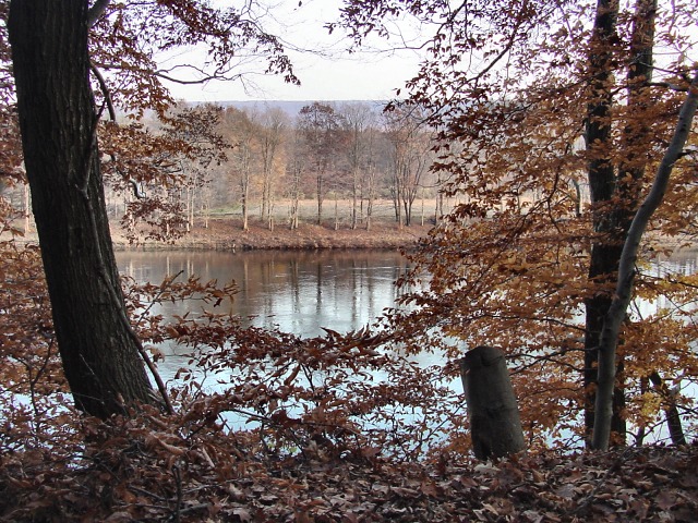 late autumn