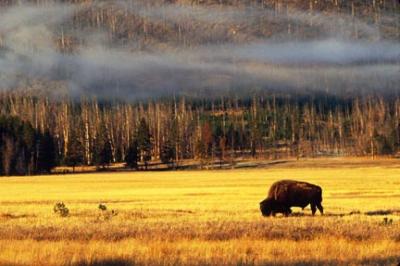 Wyoming 2003