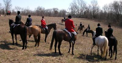 Hunting from Irish Fox Farm March 6th
