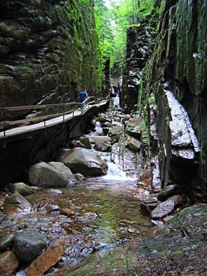 The Flume