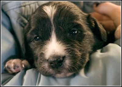 George   - 18 days