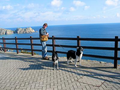 David & the dogs at minack