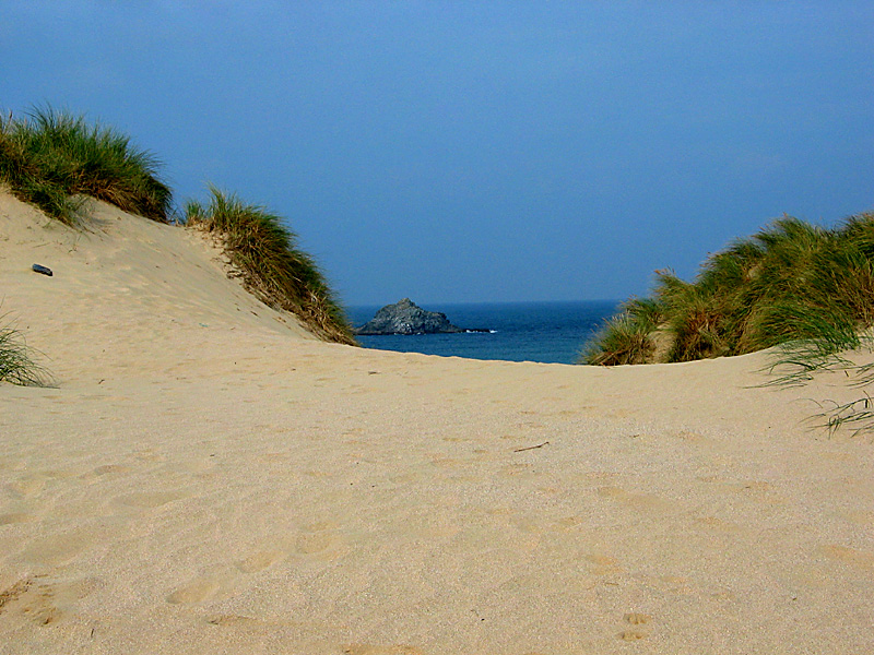 Goose rock through the dunes