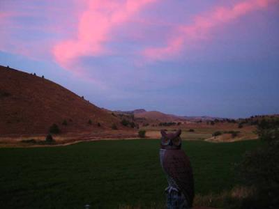 sunrise-at-wilson-ranch.jpg