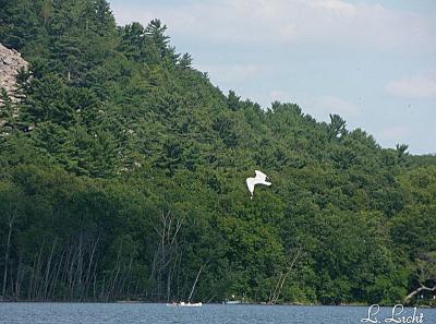 devils_lake_wi_and_merrimac_fer