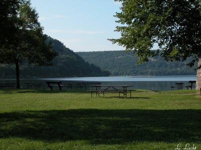 A quiet morning at the Lake 295.jpg