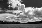 When we had grain b&w