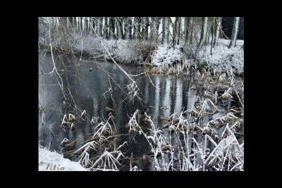 u35/lookheretitia/medium/40414024.0water029.jpg