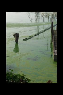 u35/lookheretitia/medium/40414045.0water037.jpg