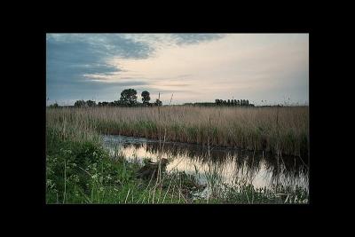 u35/lookheretitia/medium/40414050.0water039.jpg