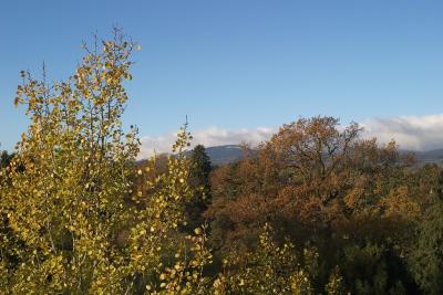 The Taunus with a little bit snow